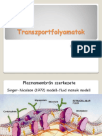 4 Transzportfolyamatok.pdf