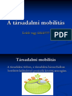 Társadalmi Mobilitás 6