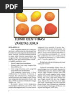 Download teknik identifikasi jeruk by Fia Caecaria Tobing SN46736933 doc pdf