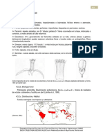 2 Meliaceae PDF