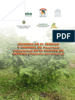 Avances en El Manejo y Control de Fusarium Oxysporum en El Cultivo de Uchuva Physalis Peruviana PDF