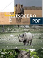 RHINO