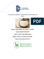 Composición Química y Propiedades Nutricionales Del Arroz