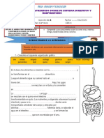 Compruebo Lo Aprendido Sobre Sistemas Digestivo y Respiratorio