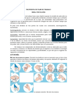 Proyecto Psicologia Cuarentena PDF