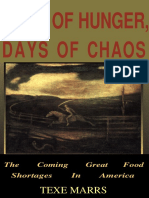 Days of Hunger, Days of Chaos - Texe Marrs