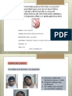 Patrones Andradevargasjaviergonzalo PDF