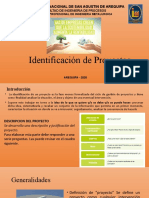 6 Identificación de Proyectos