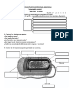 Taller 3 CCNN 10° 2020