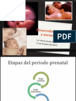 DESARROLLO PRENATAL Y NACIMIENTO Ultimo