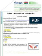 Circulación en Animales # 3 Resuelto