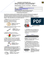 Ciencia y Tecnología6 - Guía3