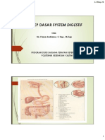 Konsep System Digestif - Frana A