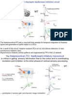 24 short_term_depression_TC FFI_optional.pdf