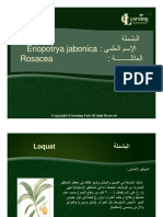 البشمله PDF