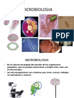 Microbiologia - Bact y Clasifi