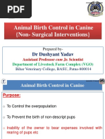 Animal Birth Control in Canine (Non-Surgical Interventions)