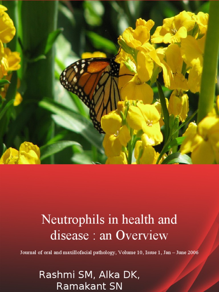 Overview of Neutrophils in Health and Disease | PDF | Granulocyte ...