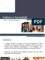 Cultura e Sociedade -  Apresentacao.pptx