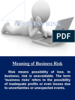 Business Risk 2