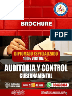 BROCHURE-DIPLOMADO-EN-AUDITORIA-Y-CONTRON-GUBERNAMENTAL.pdf