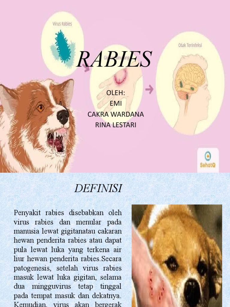 Patogenesis dan Penanganan Rabies | PDF | Sains & Matematika