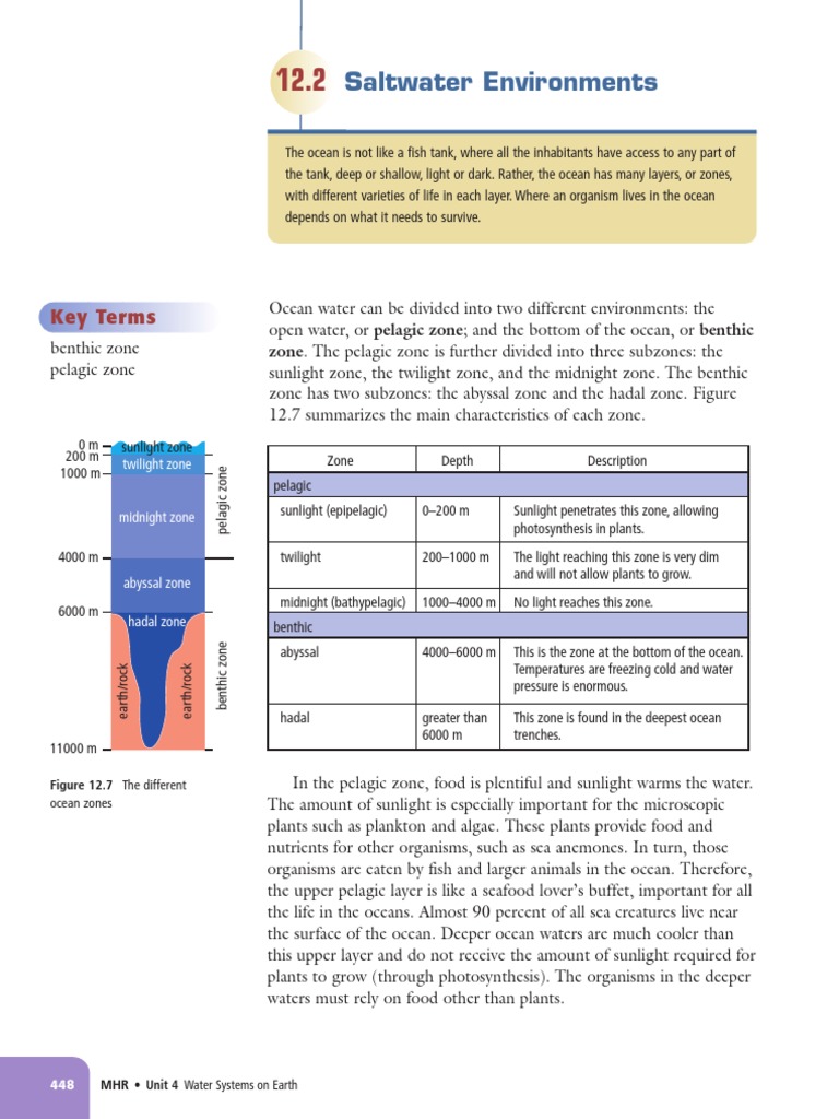 Saltwater Environments Key Terms PDF Benthic Zone Sea