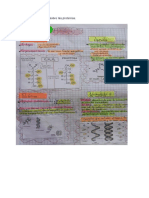 Mapas Conceptuales Sobre Las Proteínas