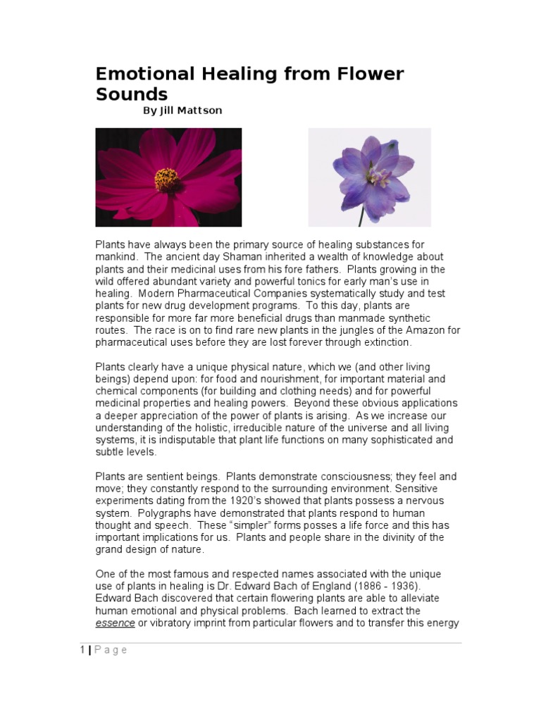 Emotional Healing From Flower Sounds Jan2011 | Plants ...