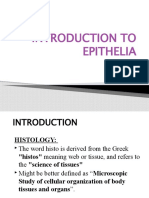 Introduction to Epithelial Tissues