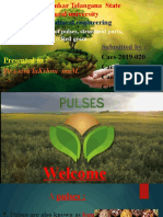 Pulses Types of Pulses and Red Gram