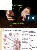 Trigeminal Nerve Anatomy
