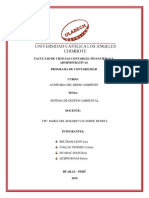 Tarea Colaborativa - Ambiente PDF