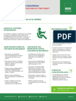 Cinturón de seguridad.pdf
