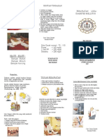 Leaflet DM IB