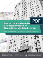 Pautas Organizacion Funcionamiento Salud Mental