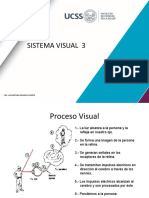 Sistema Visual 3