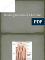 Adhesion (Enamel and Dentin)