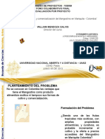 trabajofinalmangostinos-130605230144-phpapp02
