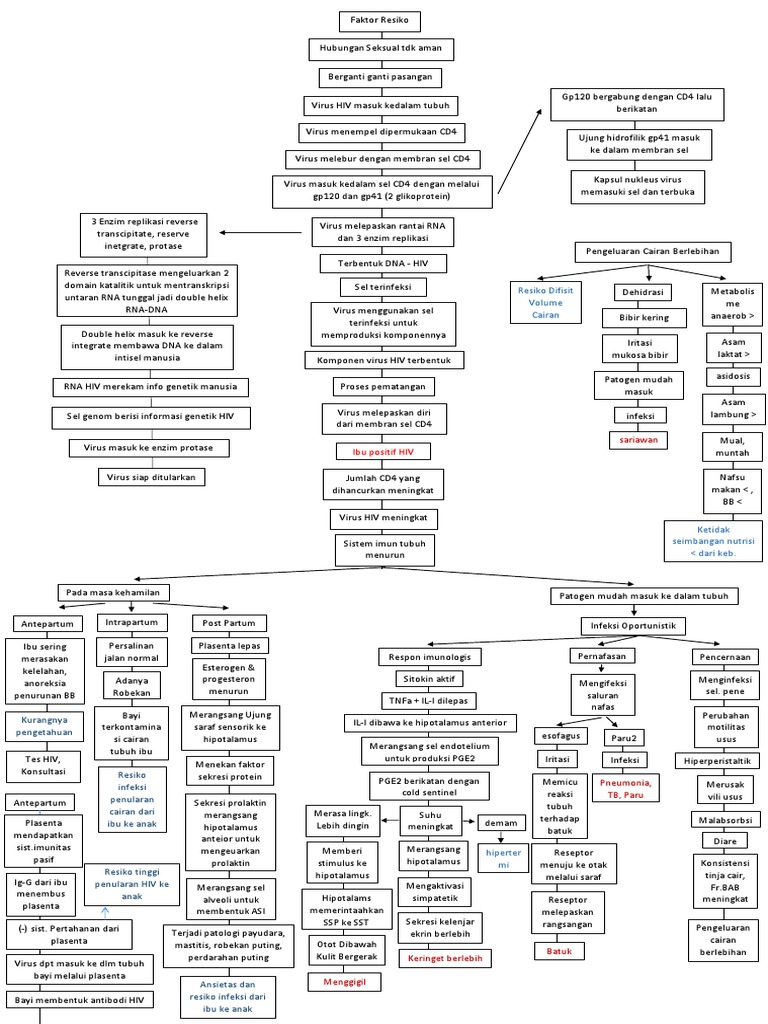 Pathway HIV AIDS Pada Ibu Hamil PDF | PDF