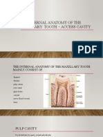 The Internal Anatomy of The Maxillary Tooth