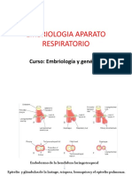 Embriologia Aparato Respiratorio
