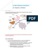 Tema 6 - Células Del Sistema Nervioso