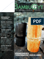 Segunda Edicion Revista Bambucyt