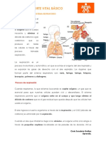 SISTEMA RESPIRATORIO