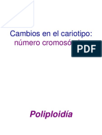 18 Poliploidia 20I PDF