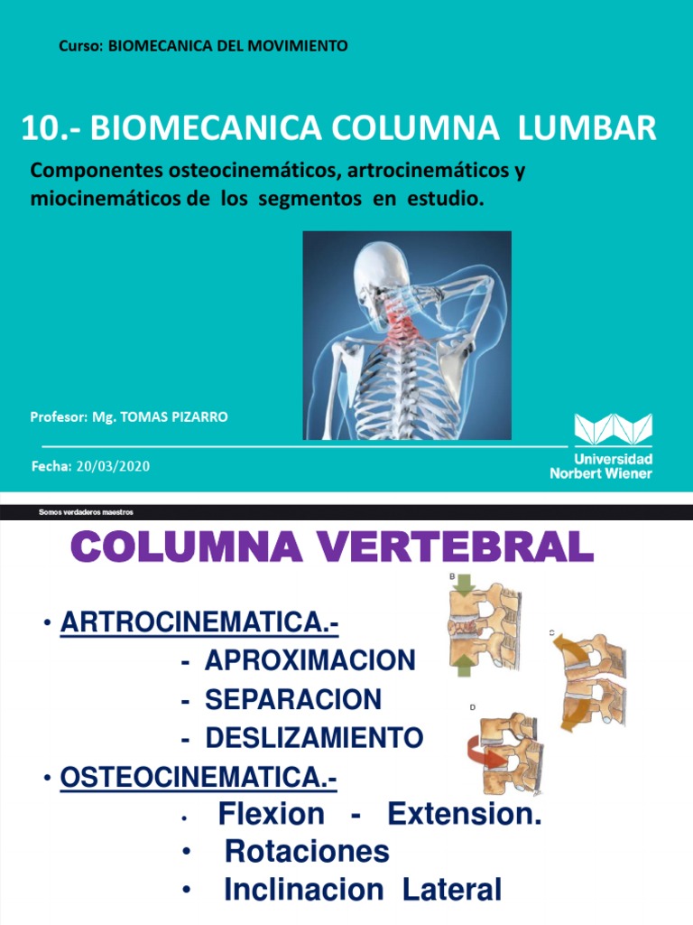 Biomecánica de la Columna Lumbar | PDF | La columna vertebral | Vértebra
