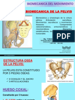 Biomecánica y Movimientos de la Pelvis | PDF | Pelvis | La columna ...