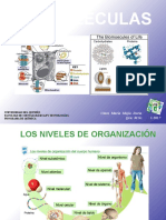 Clase 3 Biomoléculas