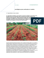 Estrategias Agroecológicas para Enfrentar El Cambio Climático PDF